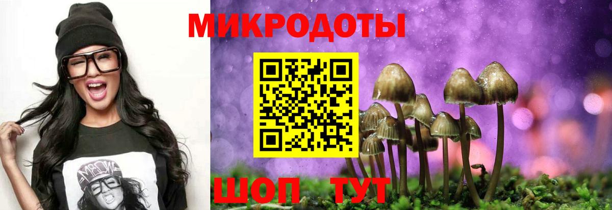Псилоцибиновые грибы GOLDEN TEACHER  Вход с VPN  Северск 